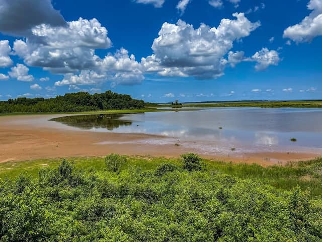 Raymond Observation Tower Trail - Image 1