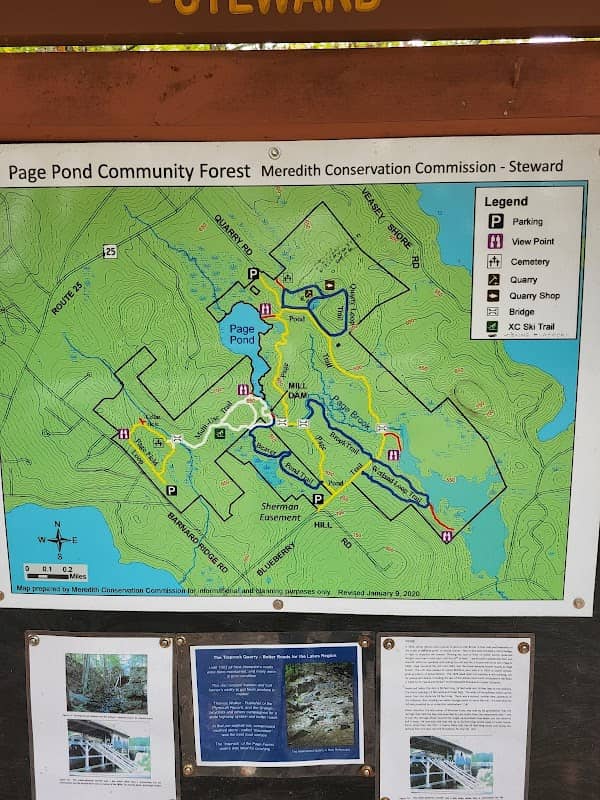 Page Pond & Forest Trailhead - Image 1