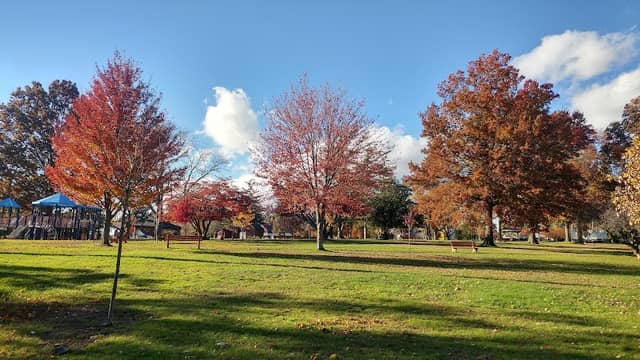Lyon Park - Image 4