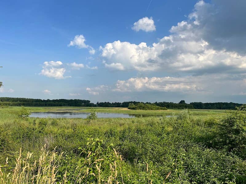 Vogeluitkijk de gluurmuur - Image 1
