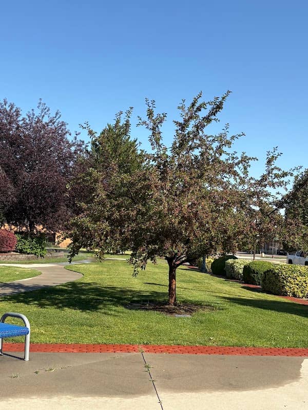 Serenity Park - Image 2