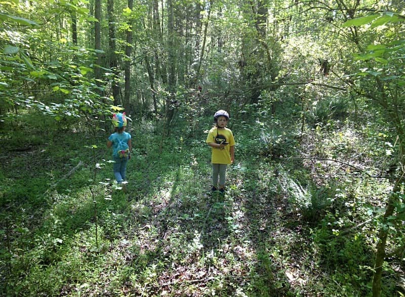 Greenway Trail - Image 2