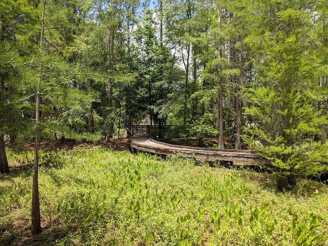 Natural Area Teaching Laboratory - Image 2