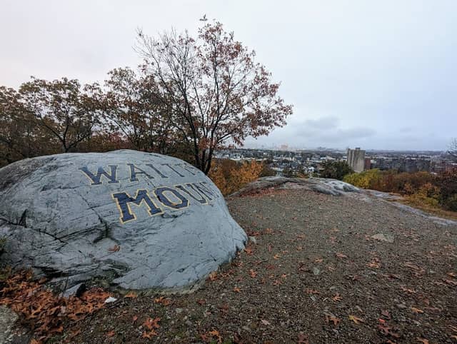 Waitts Mount Park - Image 2