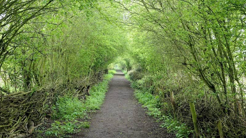 Far Ings National Nature Reserve - Image 2