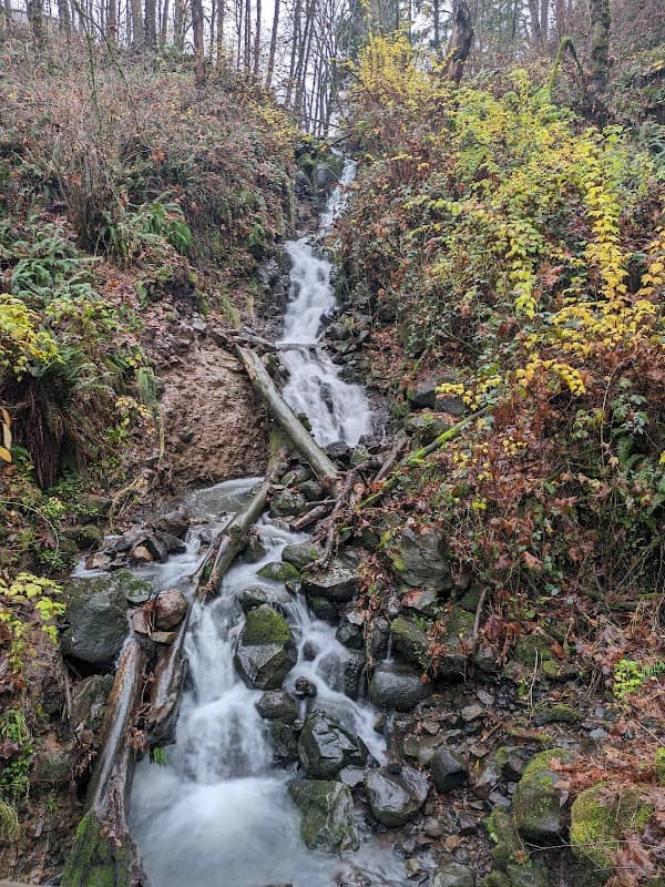 Newell Creek Canyon Nature Park - Image 2