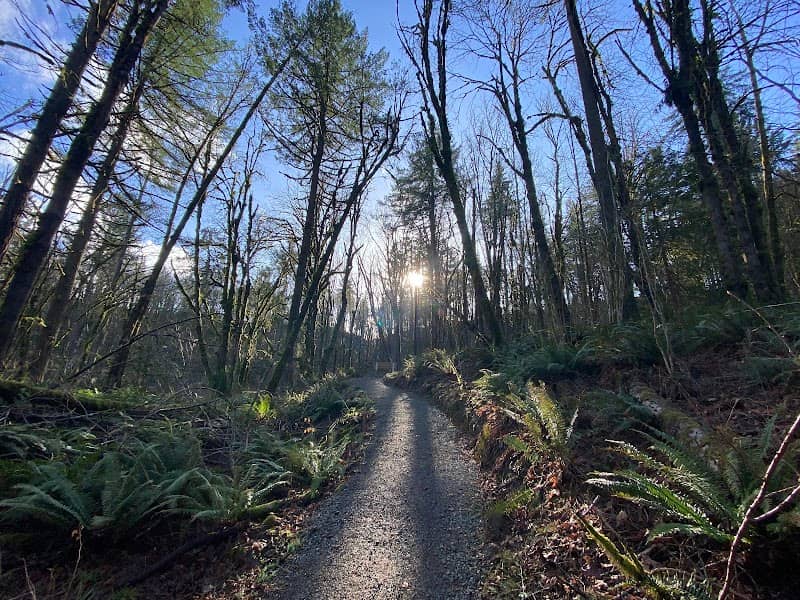 Newell Creek Canyon Nature Park - Image 1