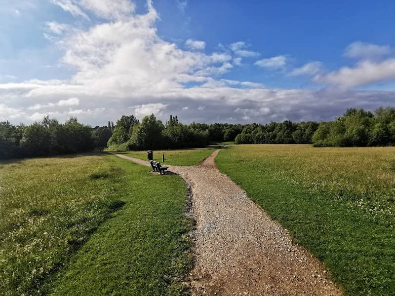 Colliers Wood Nature Reserve - Image 1