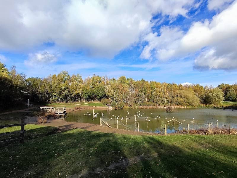 Colliers Wood Nature Reserve - Image 2