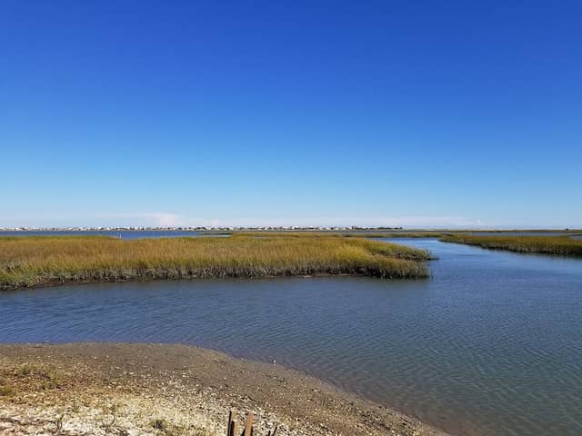 Morse Park Landing - Image 2