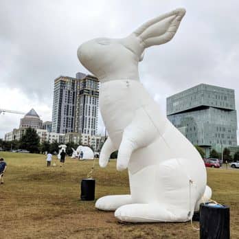Jack Rabbit - Image 2