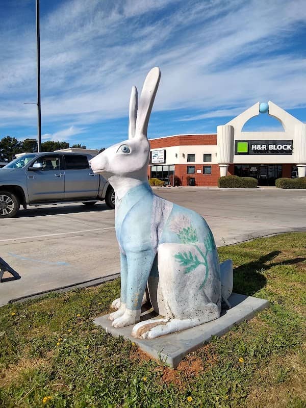 Jack Rabbit - Image 3
