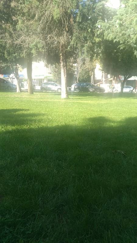 Child park - Image 2
