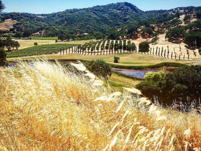 Saracina Vineyards - Image 1