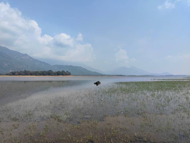 Malambuzha canal - Image 1