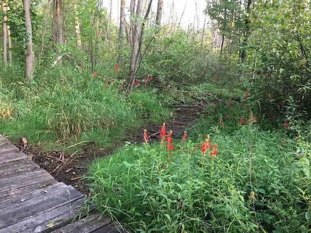 Fish Creek Park - Image 2