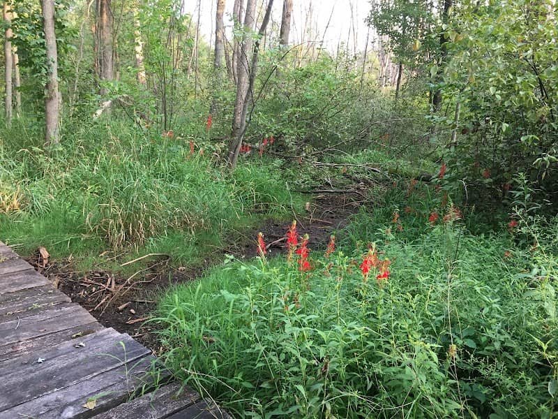 Fish Creek Park - Image 2
