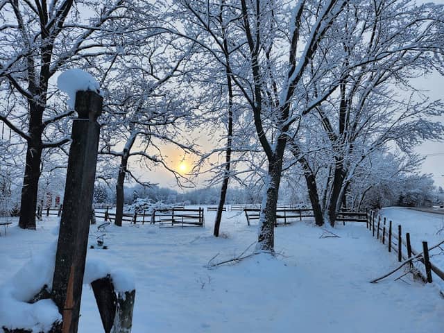 NV Artworks, Farm and Ranch, going out of business sale. - Image 2