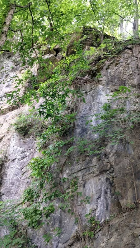 Goat mountain tVA - Image 1