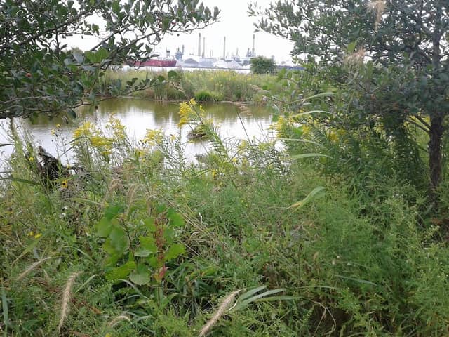 Wetlands County Park - Image 1