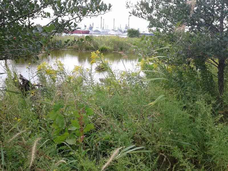 Wetlands County Park - Image 1