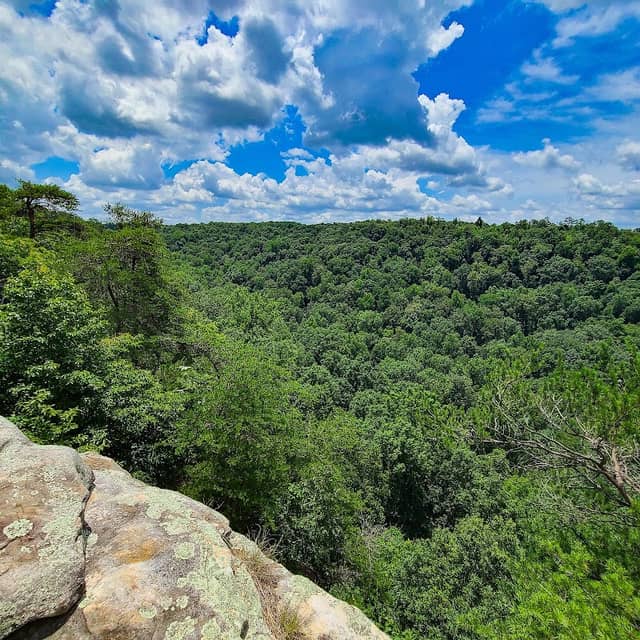 Jim Lynn Overlook Area - Image 1
