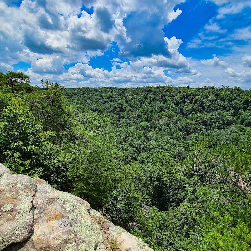 Jim Lynn Overlook Area - Image 1