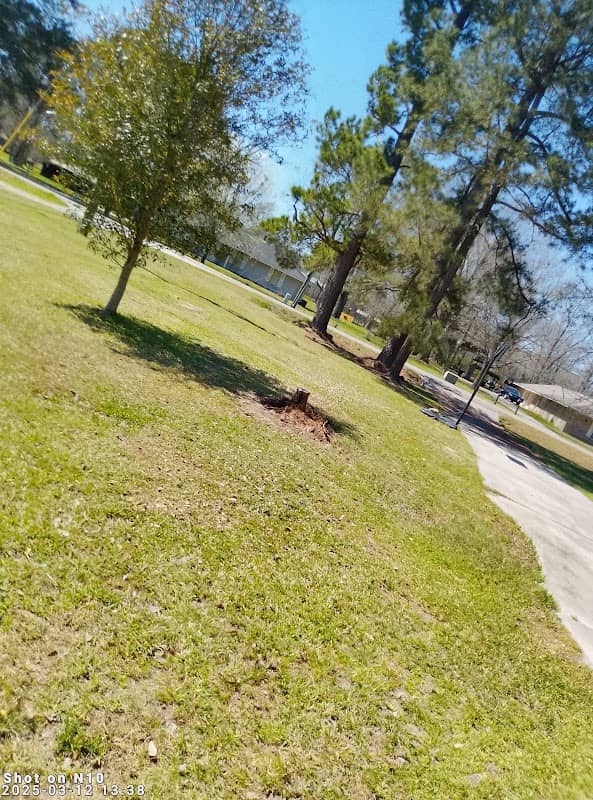 Little Farms Park - Image 2