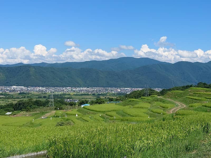 Obasute Rice Terraces - Image 2