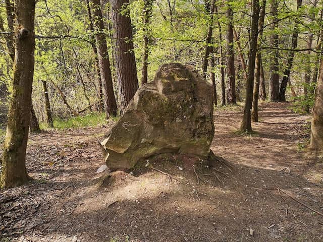 Libellenstein - Image 2