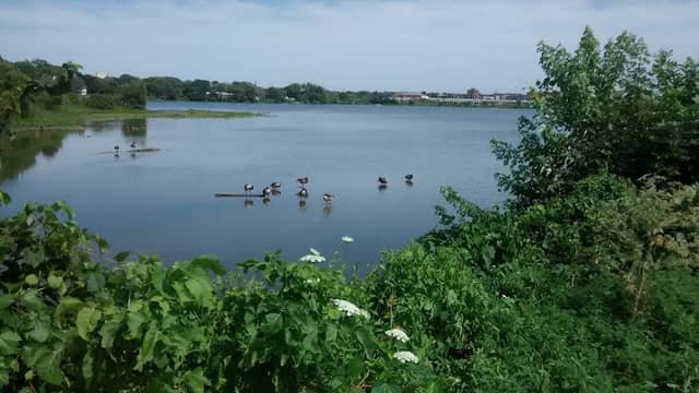 Cedar Valley Nature Trail - Image 2