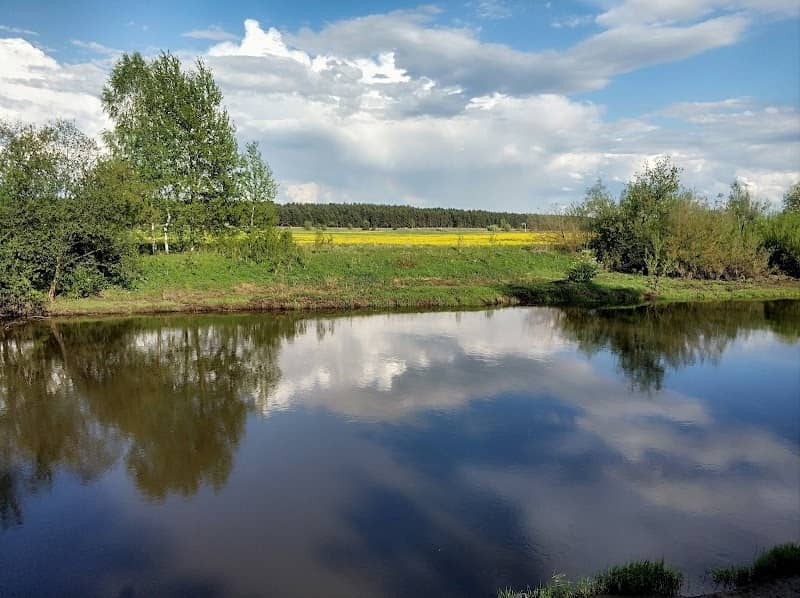 Losino-Petrovskiy Park - Image 1