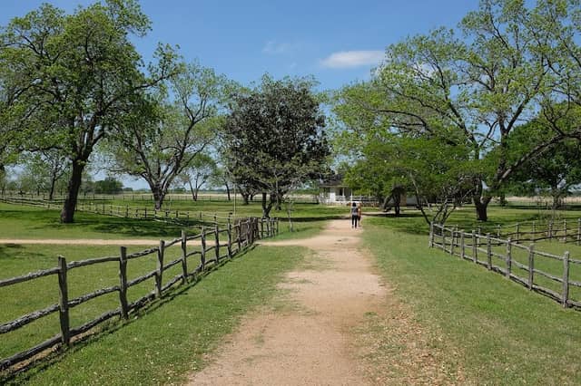 President Lyndon Johnson Birthplace - Image 2