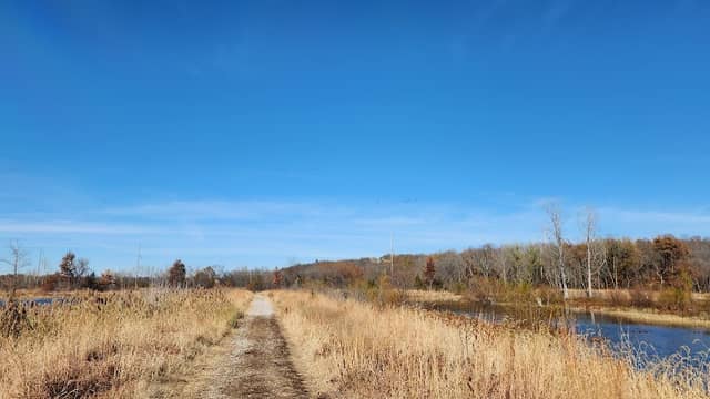 Blue Springs Lake Wetland - Image 2