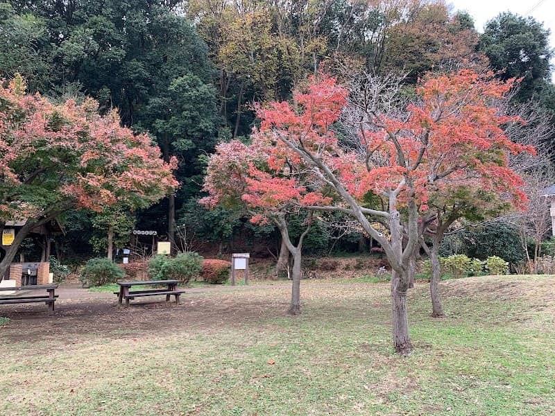 Ryonan Park - Image 2