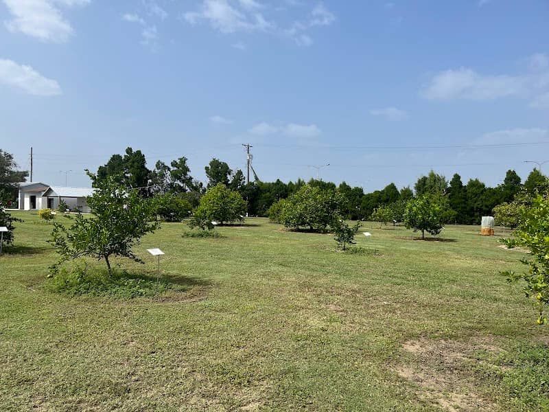Florida Citrus Arboretum - Image 2