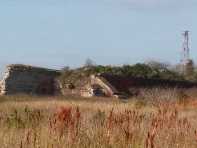 Fort Livingston - Image 2