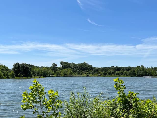 Lake Artemesia Natural Area - Image 1