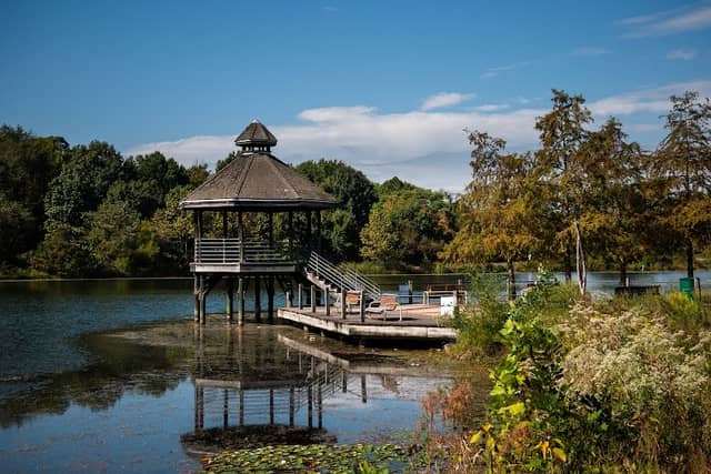 Lake Artemesia Natural Area - Image 2