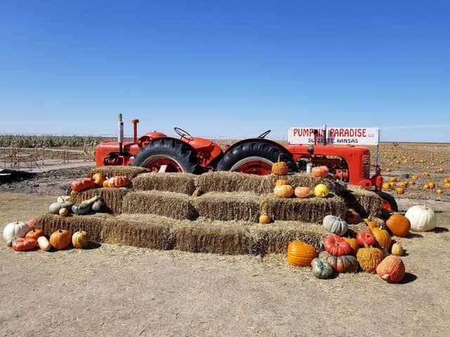 Pumpkin Paradise LLC - Image 1