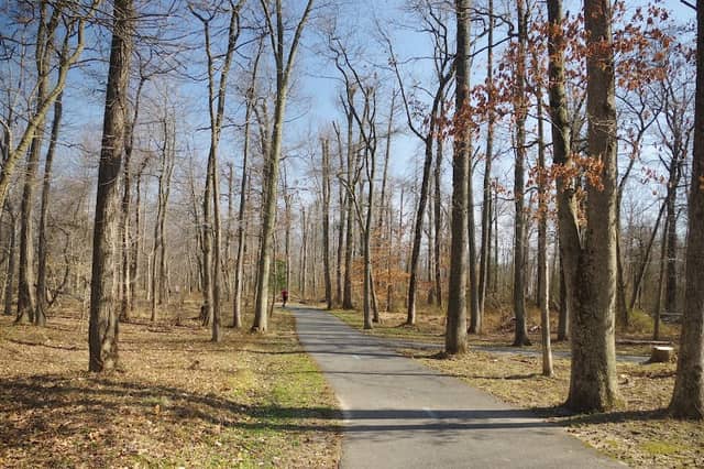 Paint Branch Stream Valley Park - Image 2