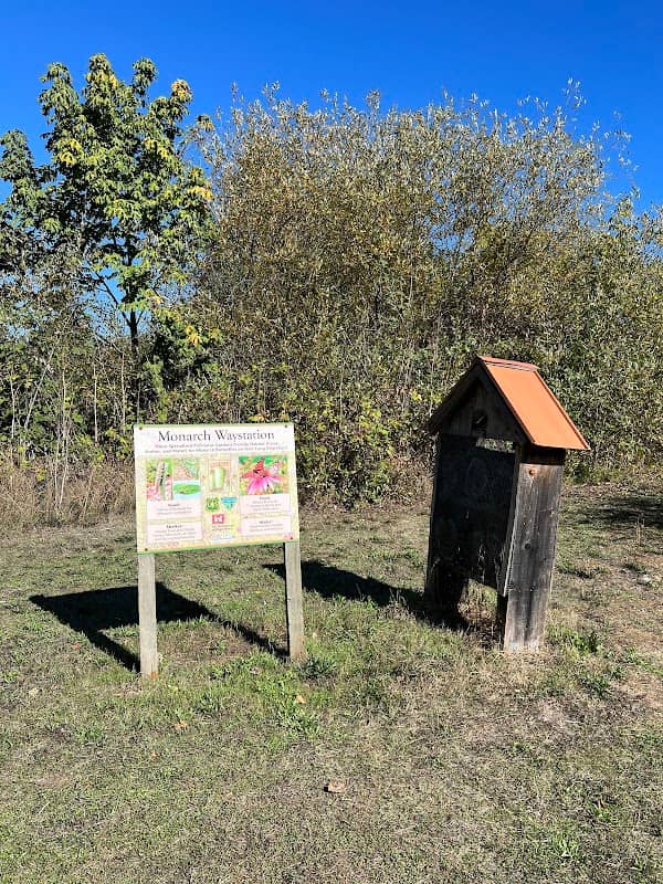 Pollinator Garden - Image 2