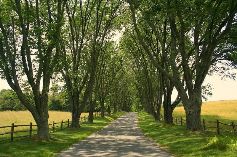 James Monroe's Highland - Image 1