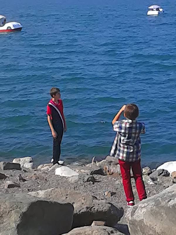 Çocuk Bahçesi - Image 1