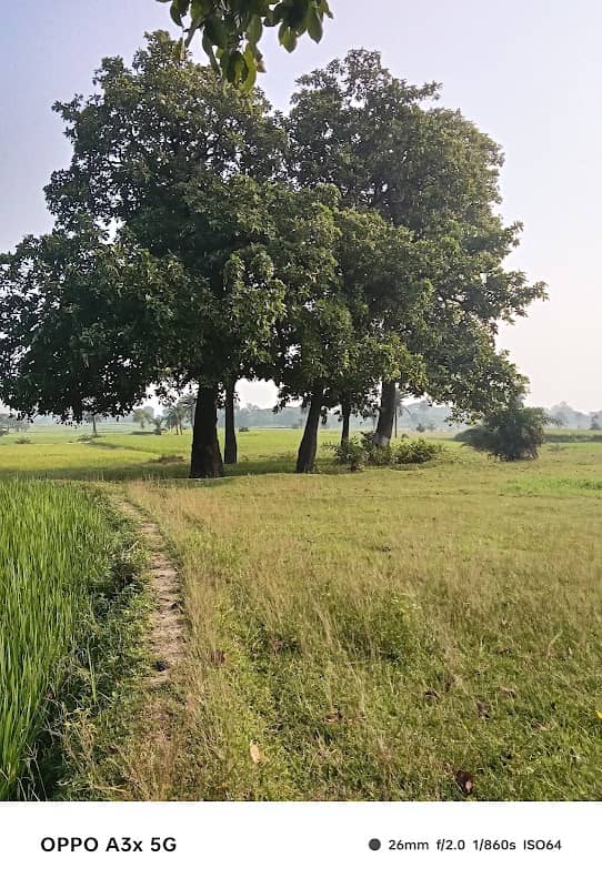 Netaji Park - Image 1