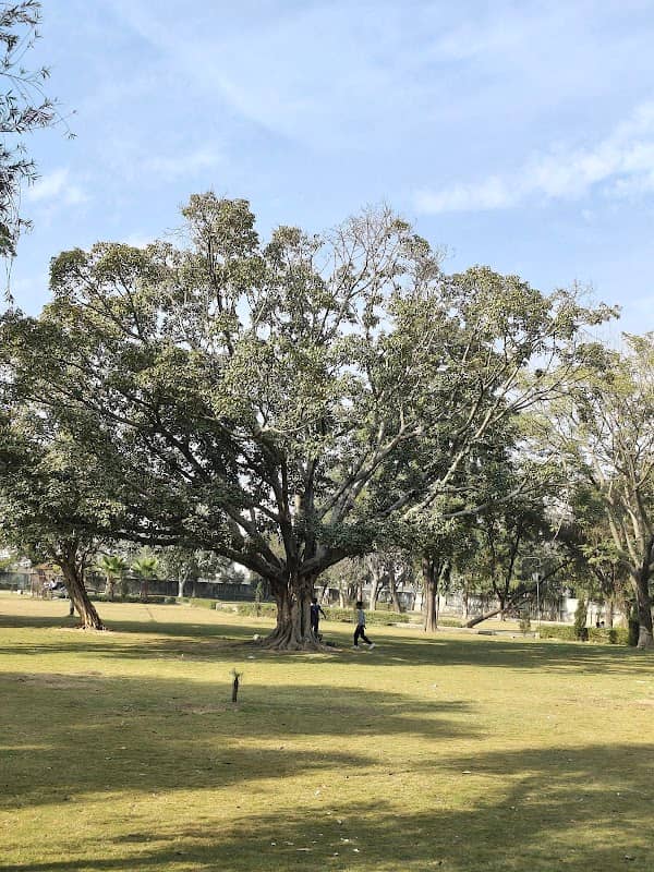 Indira Park - Image 1