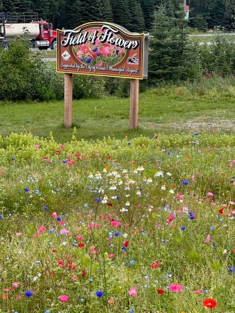 Wildflower Garden - Image 3