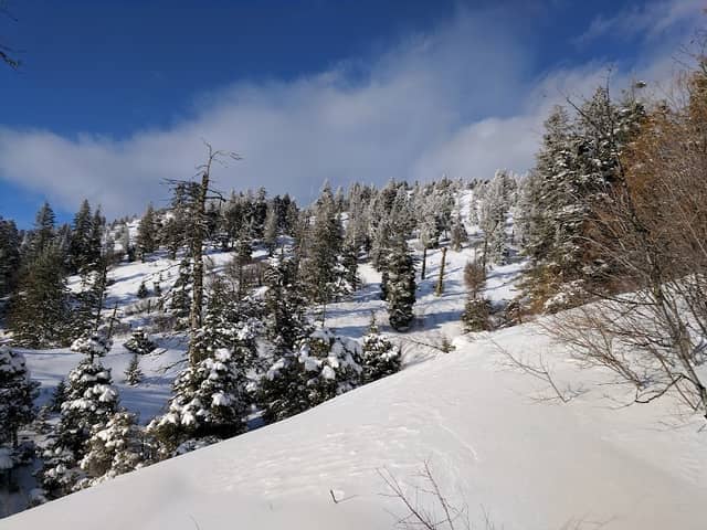 Shafer Butte Campground & Picnic Areas - Image 3