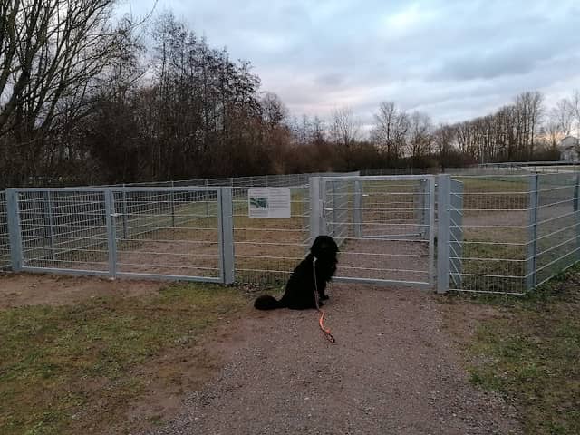 Neutraublinger Hundetreff - Image 1