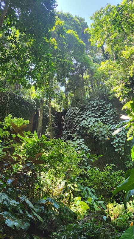 Jharkendar Valley behind Bat Cave - Image 1